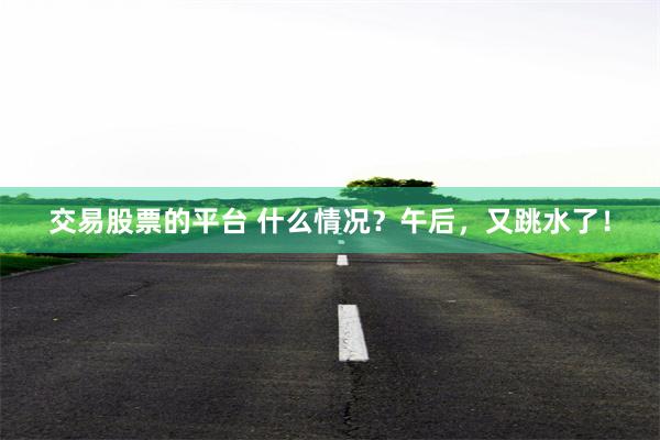 交易股票的平台 什么情况？午后，又跳水了！